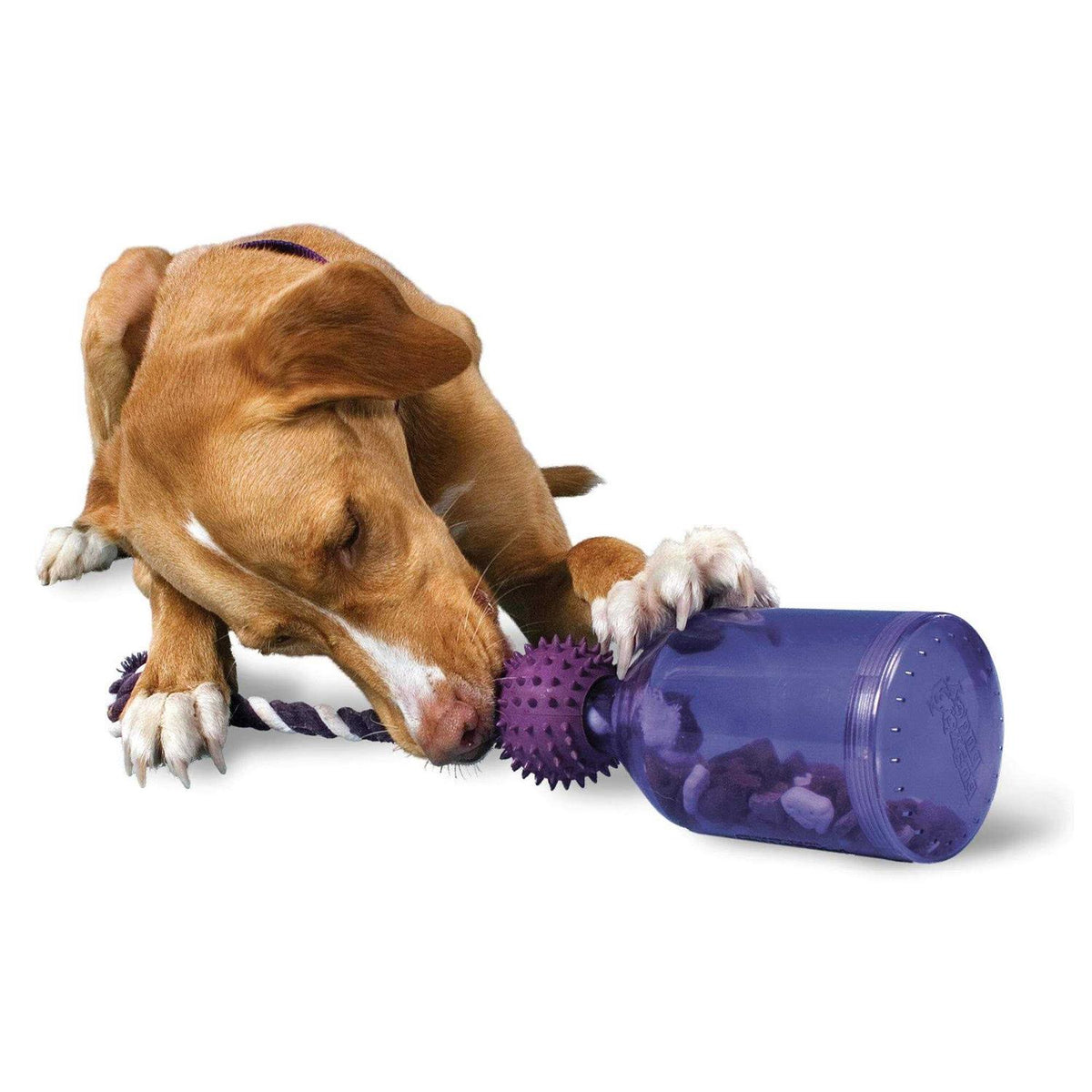 Pet Supplies I47944