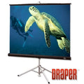 Matt White Portable Projection Screen with Carpeted Case J2189