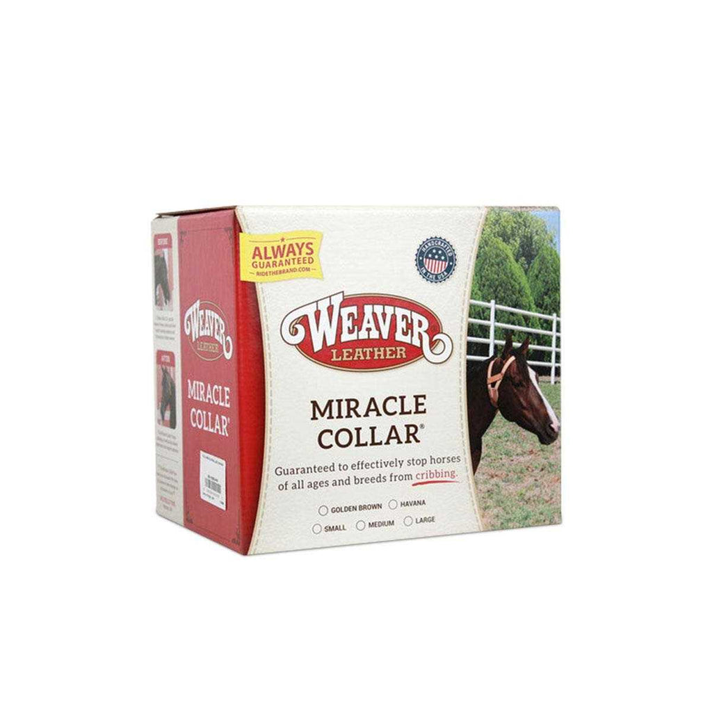 Leather Collar P858