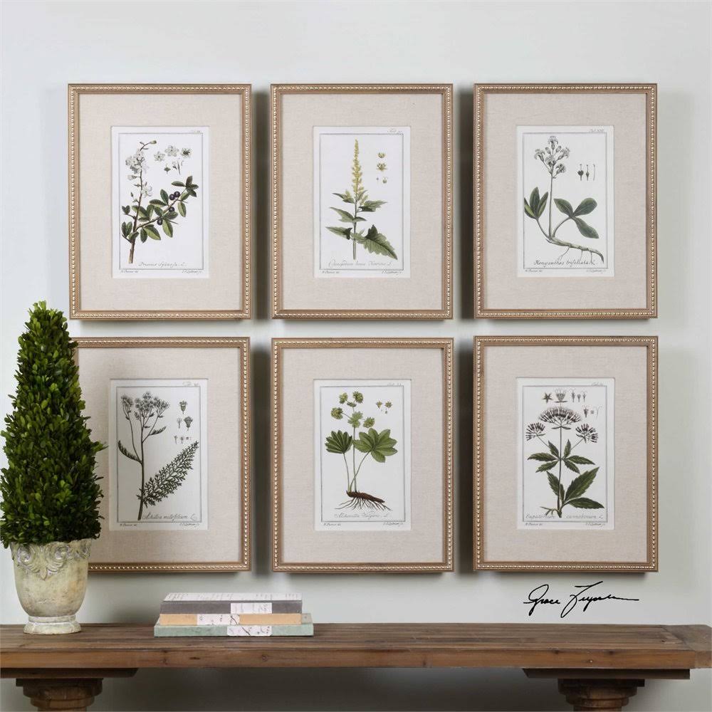 Green Floral Botanical Study Prints S/6 Z94818