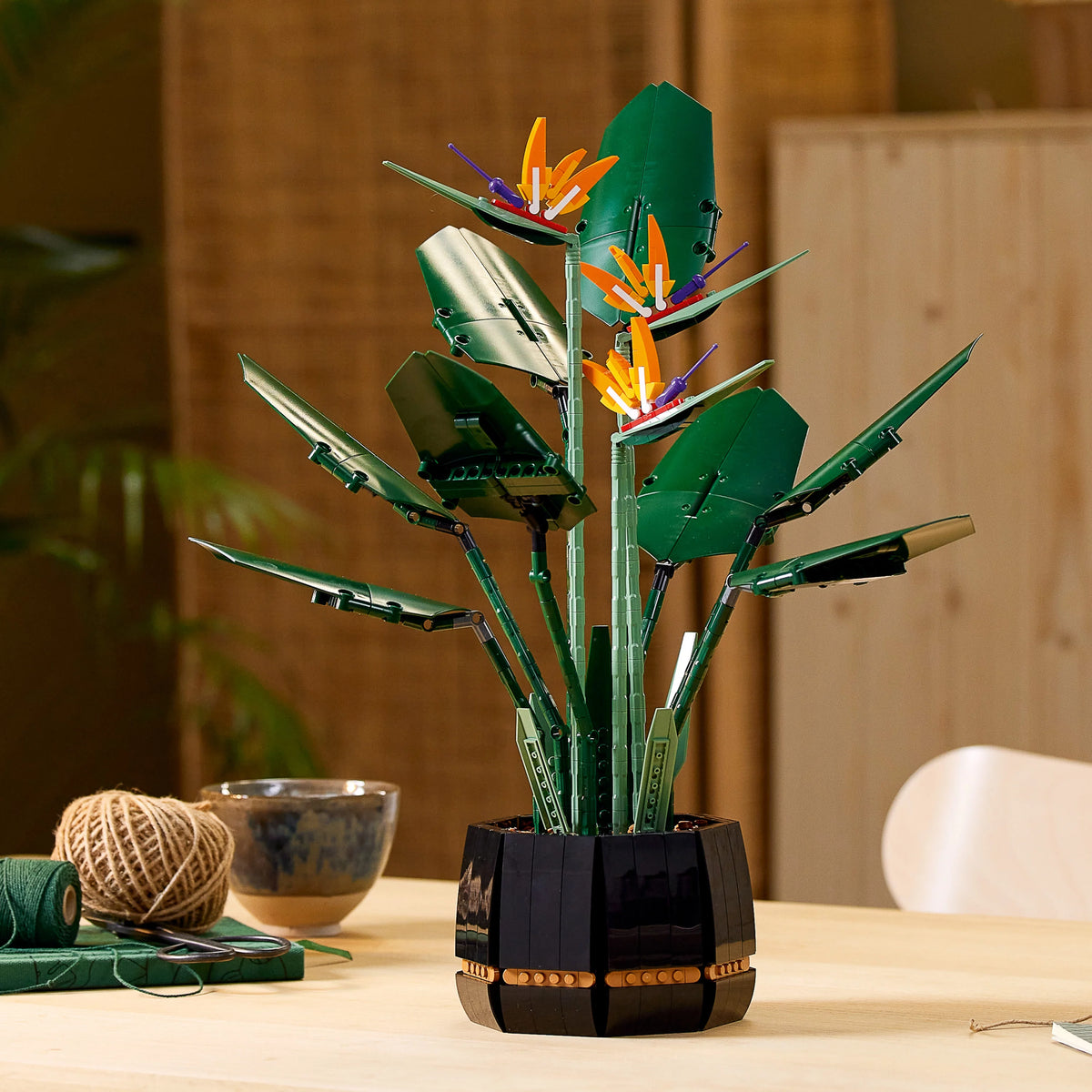 Bird of Paradise Flowers & Plants Model Y903556