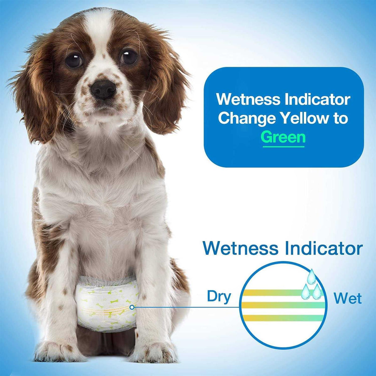 Soft Disposable Male Dog Wraps B2963