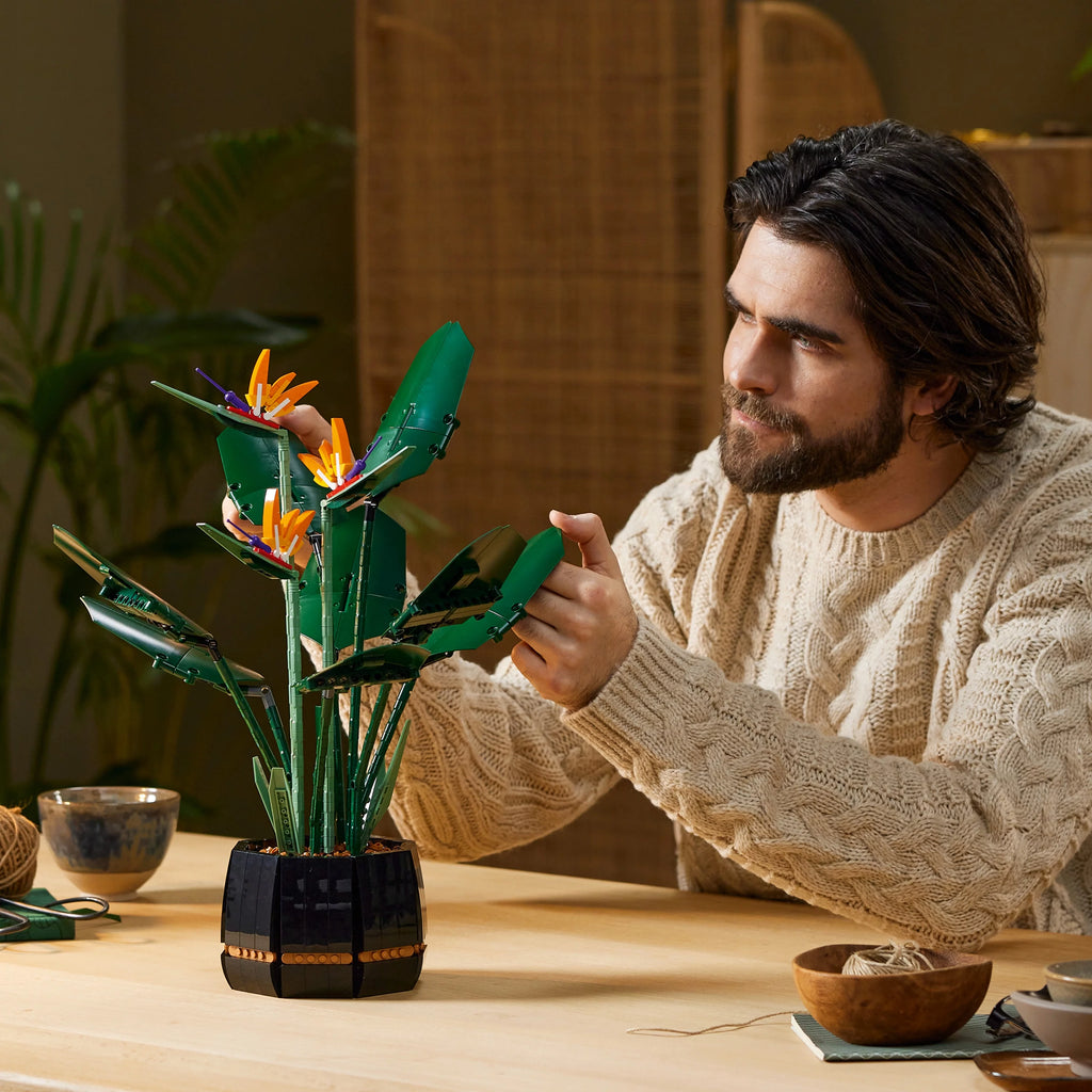 Bird of Paradise Flowers & Plants Model Y903556