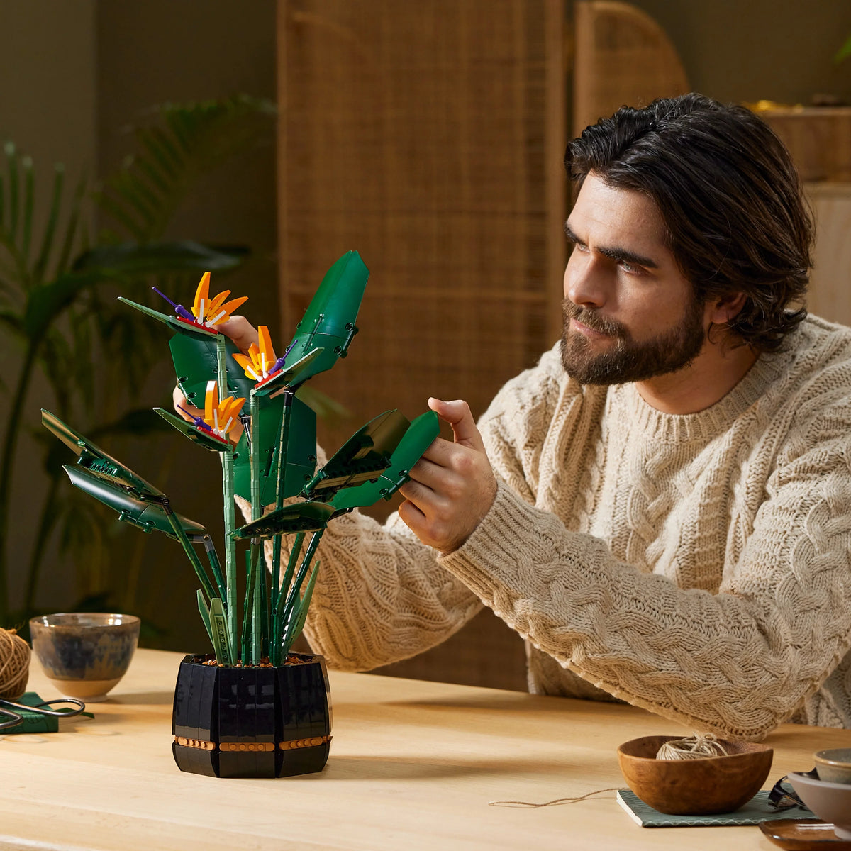 Bird of Paradise Flowers & Plants Model Y903556