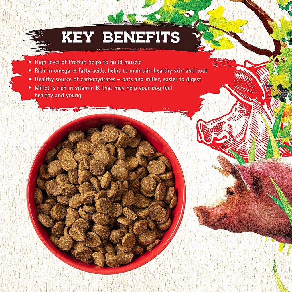 Pork Recipe Dog Food L51021