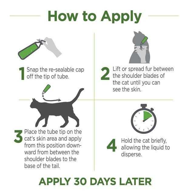 Flea & Tick Topicals for Cats O93312