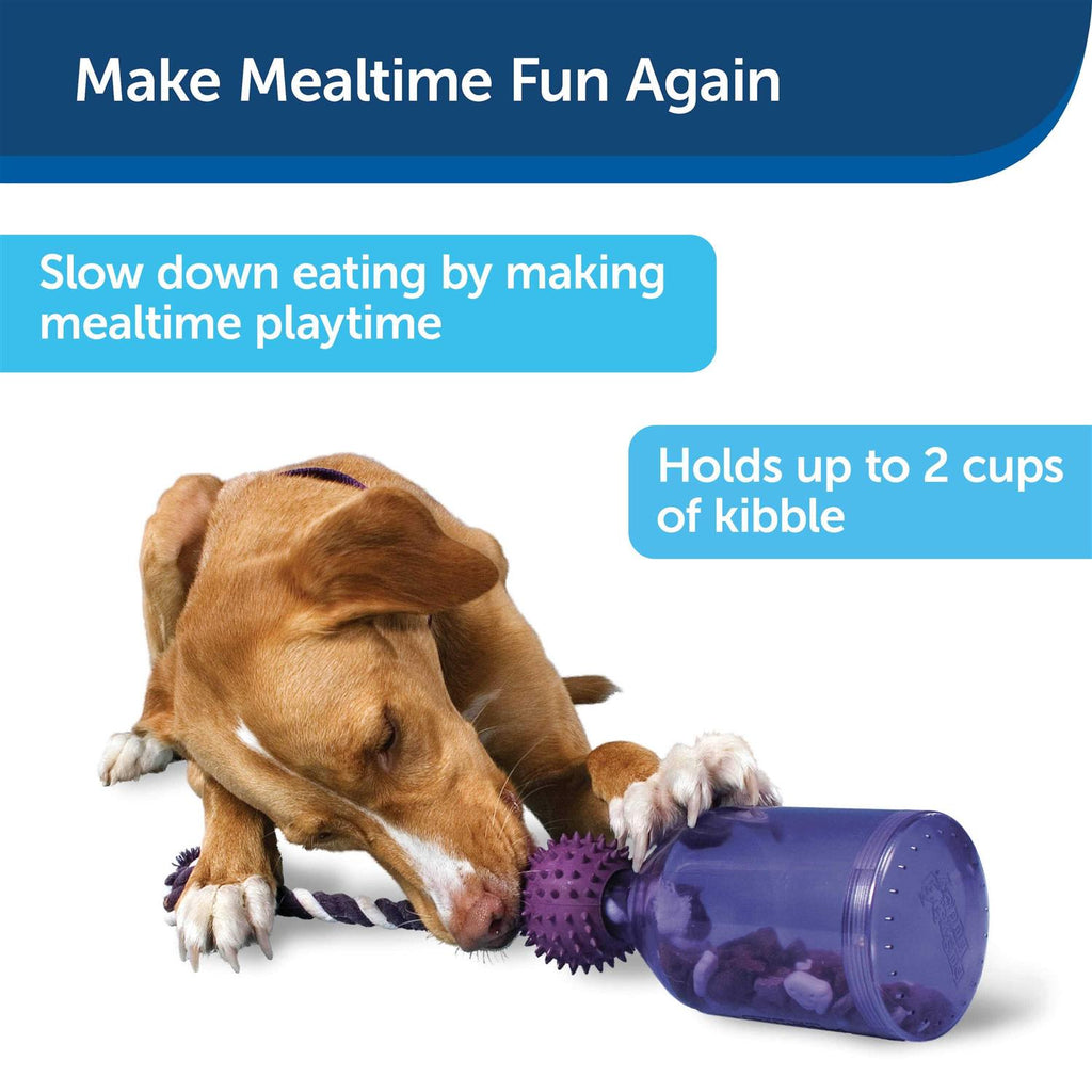 Pet Supplies I47944