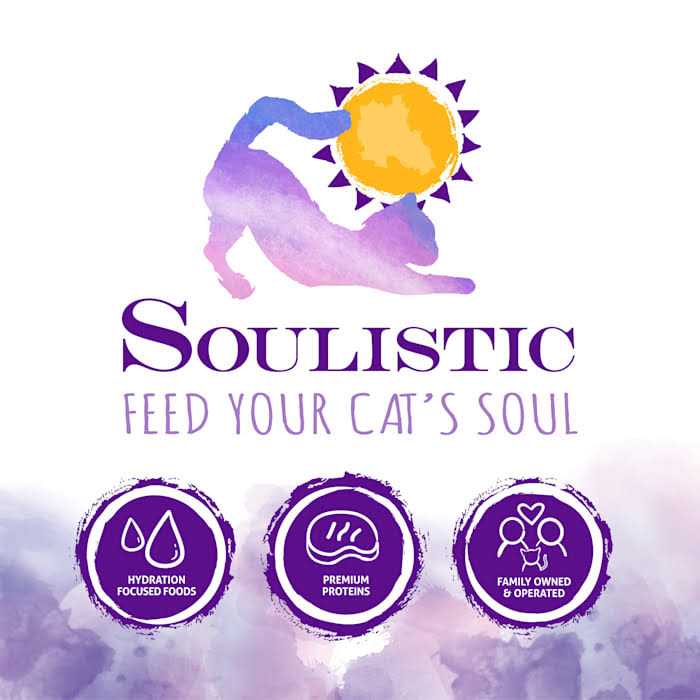 Wet Cat Food Variety Pack J804