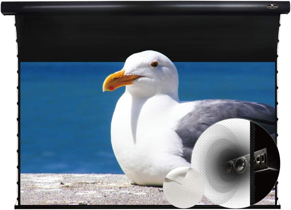 Slimline Motorized Tension Pull Down Screen Projector Perforated Transparent Acoustically White Cinema K150